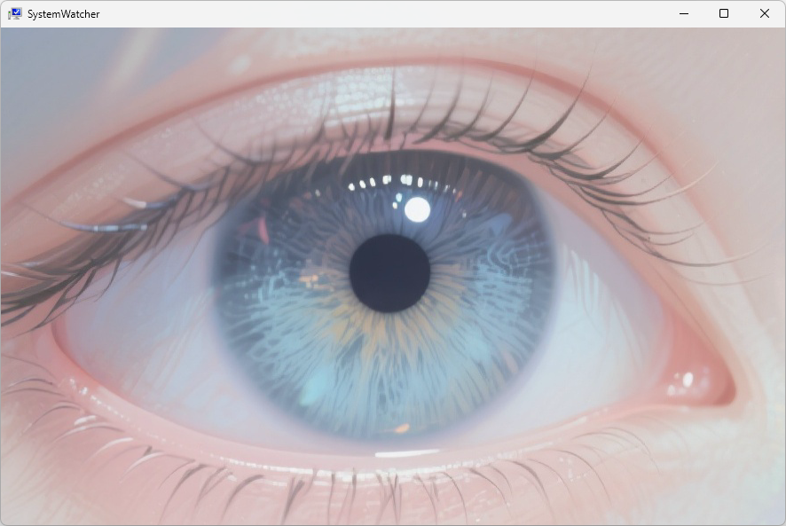 SystemWatcher 截图 2